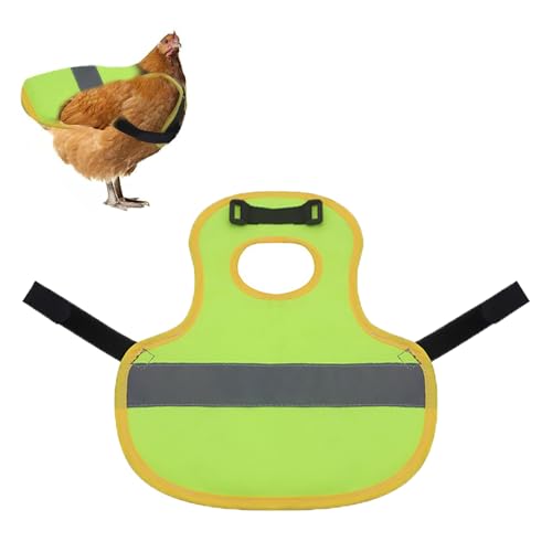 ZYEKIU 1 Pcs WarnwesteHund Hühner Geschirr Henne Hennen pet Reflective Vest Henne Reflektierende Weste Warnweste für Hühnersattel Kostüm hühnerstall Zubehör Sattel Warnweste (Fluoreszierendes Grün) ZYEKIU 1 Pcs WarnwesteHund Hühner Geschirr Henne Hennen pet Reflective Vest Henne Reflektierende Weste Warnweste für Hühnersattel Kostüm hühnerstall Zubehör Sattel Warnweste (Fluoreszierendes Grün) von ZYEKIU
