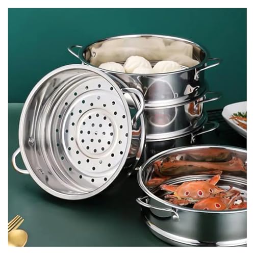 Multifunktions-Dampfgarer aus Edelstahl mit Doppel-Dampfgitter for Lebensmittel, Reiskocher, Topf, Abtropfkorb, Küchen-Kochutensilien für Küche(22cm) von ZYFHYU