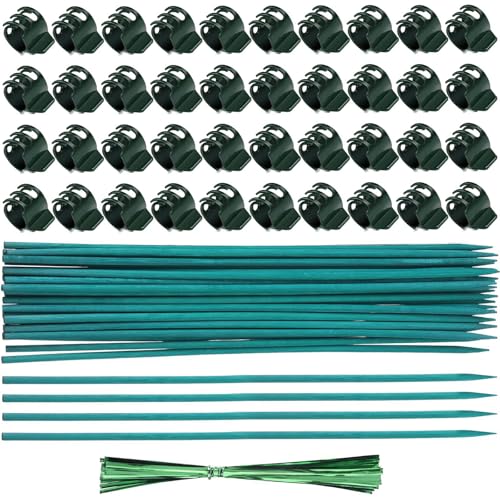 ZYKEJJDDAK Ausziehbare Pflanzstäbe für Topfpflanzen, flexible Gartenstäbe mit regulierbarem Clip von ZYKEJJDDAK