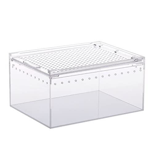 ZYKEJJDDAK Futterbox Schlangenzuchtbox Eidechsenkäfig Lebensraum Schlüpfbehälter transparent tragbar Haustierhaus von ZYKEJJDDAK