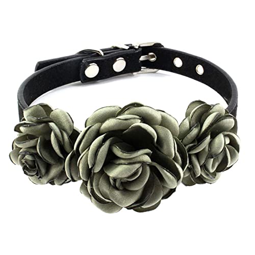 ZYKEJJDDAK Hundehalsband für Mädchen, Rosen-Blumen-Dekor, Blumenmuster, Katzenhalsband, Halsketten, Welpen, Halsbänder mit Metallschnalle ZYKEJJDDAK Hundehalsband für Mädchen, Rosen-Blumen-Dekor, Blumenmuster, Katzenhalsband, Halsketten, Welpen, Halsbänder mit Metallschnalle von ZYKEJJDDAK