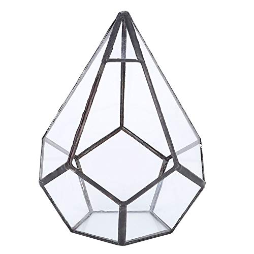 ZYLLZY Geometrischer Pflanzen-Terrarium-Behälter aus Glas, Stilvoller Blumentopf in Geometrischer Form, Glas-Pflanzgefäß, Sukkulenten-Behälter, Dekoration für Zuhause, Garten, Büro von ZYLLZY