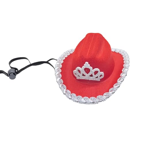 Glitzernder Gänse-Hut, Kopfbedeckung, Ente, klein, mit silberfarbenen Krempen, für Festival-Anlässe für Partys von ZYMIADOU