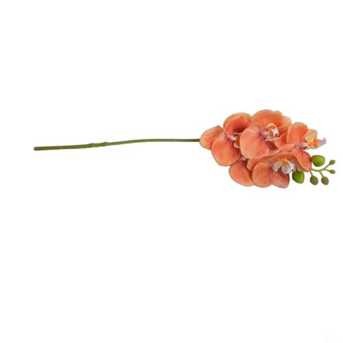 Künstlicher Phalaenopsis-Blumenstiel, 43,2 cm, 17,8 cm, perfekt für Heimdekoration und (orange) von ZYNCUE