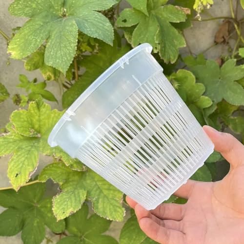 ZYNCUE Transparente Blumentöpfe zum Umtopfen von Pflanzen, Orchideentopf mit Löchern und Untersetzern, für gute interne Durchblutung, Pflanzen- und Umtopf-Gartentöpfe für Zuhause, Büro, Hof, 5 Stück ZYNCUE Transparente Blumentöpfe zum Umtopfen von Pflanzen, Orchideentopf mit Löchern und Untersetzern, für gute interne Durchblutung, Pflanzen- und Umtopf-Gartentöpfe für Zuhause, Büro, Hof, 5 Stück von ZYNCUE