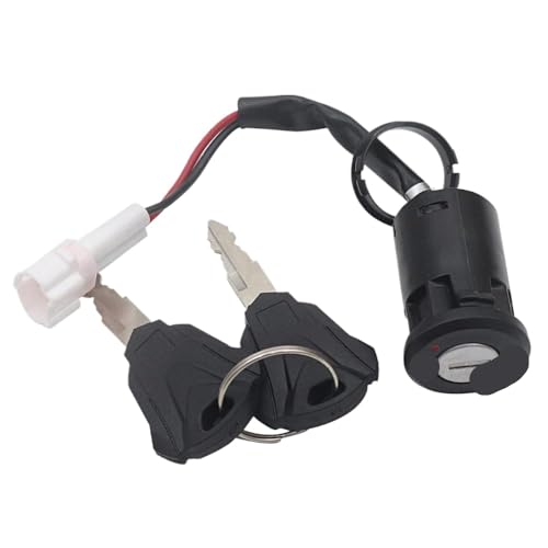 Elektrofahrradbox Lock Zündschalter Schaltschließschlüssel Set Universal Fit kompatibel mit X160 x260 Light X Light S Aftermarket Ersatz Elektrofahrradbox Lock Zündschalter Schaltschließschlüssel Set Universal Fit kompatibel mit X160 x260 Light X Light S Aftermarket Ersatz von ZYPMoTo