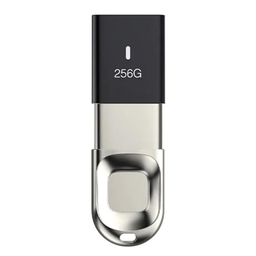 Fingerabdruck-U-Disk-Verschlüsselung B 3.0-Flash-Disk Tragbarer Hochgeschwindigkeits-Identifikationsspeicher U-Disk für Smartphone-PC-Laptop,256G von ZYT-DHRUCB