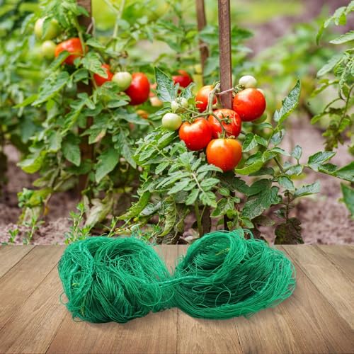 Kletternetz zur Förderung des Wachstums von Obst und Gemüse im Garten (1,8 x 5 m) von ZYWUOY