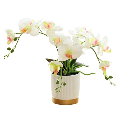 Lebensechter Bonsai aus künstlichen Orchideen, perfekt, um Leben in kleine Räume zu Hause oder bei der Arbeit mit minimalem Aufwand zu bringen (weiß) von ZYWUOY