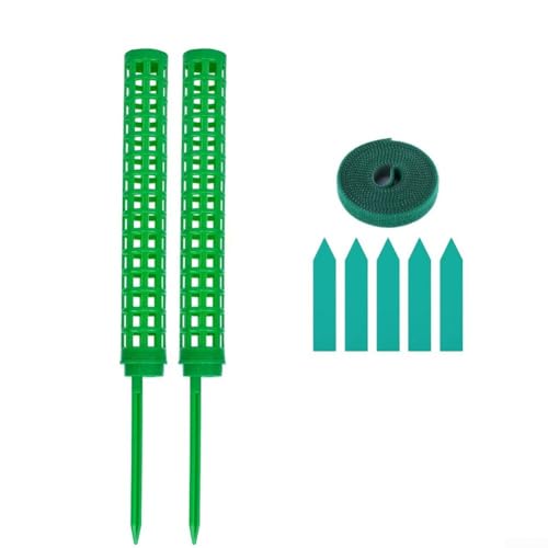 Verstellbare Moosstangen-Set zum Klettern für Pflanzen, 25 cm Kunststoffpfähle mit transparentem Netz (grün) von ZYWUOY