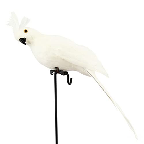 ZYWUOY Künstlicher Papagei, künstlicher Papagei, lebensecht, gefiederter Vogelimitat, Gartendekoration, 25 cm von ZYWUOY