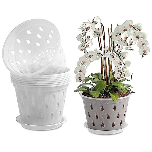 ZYWUOY Orchideentöpfe aus Kunststoff, 14 cm, weiß, transparent, mit Löchern, geeignet für Innen- und Außenbereich, Orchideen-Blumentöpfe, 5 Stück von ZYWUOY