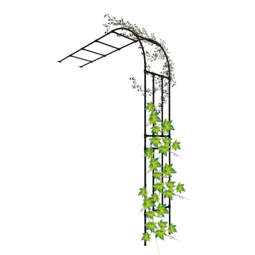 Gartenbogen Rosenbogen Halbbogen Rankhilfe wetterfest, für zur Unterstützung von Rosen, Hinterhof Rasen Patio Innenhof W60xH240cm W90xH240cm W120xH240cm ( Farbe : Schwarz , Größe : W150xH240x40cm ) Gartenbogen Rosenbogen Halbbogen Rankhilfe wetterfest, für zur Unterstützung von Rosen, Hinterhof Rasen Patio Innenhof W60xH240cm W90xH240cm W120xH240cm ( Farbe : Schwarz , Größe : W150xH240x40cm ) von ZYXWLC