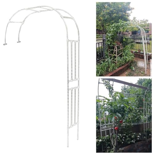 Rosenbogen Halbrund, Gartenbogen aus Metall wetterfest, Torbogen Rankhilfe für Freistehend Kletterrosen und Clematis Rosenspalier W220xH240cm W240xH240cm W250xH240cm ( Farbe : Weiß , Größe : W200xH240 von ZYXWLC