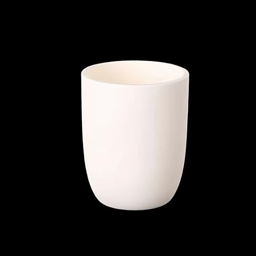 1 Stück hochdichter Aluminiumoxid-Lichtbogentiegel 3–300 ml for Schmelzen von Metallen, Keramik und Glas – langlebig und vielseitig(10.01ml) von ZYinGgY