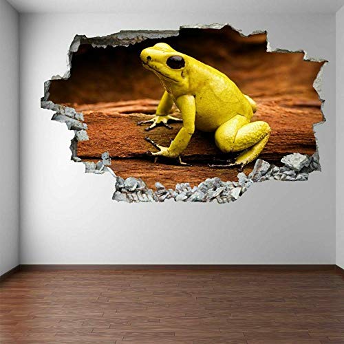 Wandtattoo - Dart Frosch Tier Wandkunst Aufkleber Wandbild Aufkleber Home Decor Fa6 3D Aufkleber für die Wand - Wanddekoration - 80x125cm von ZYjdd