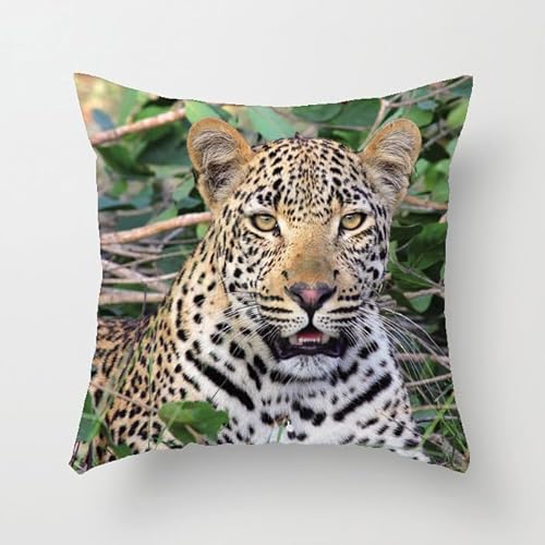 Kissenbezug 40X40 Leopard Kissenhülle Leinen Kissenbezüge Sofakissen Dekokissen Deko Kissenhüllen Wohnzimmer,Outdoor Kissen Mit Reißverschluss Kissenbezug 40X40 Leopard Kissenhülle Leinen Kissenbezüge Sofakissen Dekokissen Deko Kissenhüllen Wohnzimmer,Outdoor Kissen Mit Reißverschluss von ZZDXL