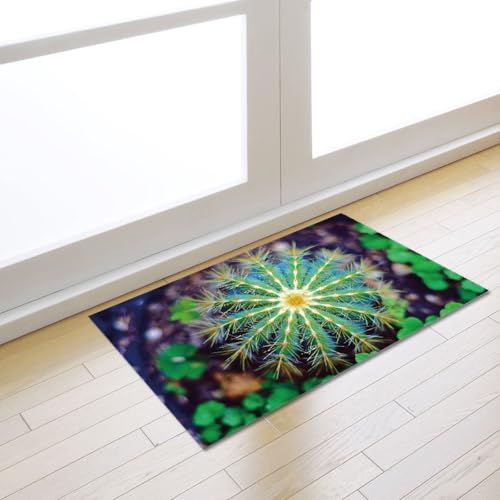 Fußmatte 50x80 cm Blaue Lila Pflanzen Fussmatte Aussen Fussmatte Innen Weich Waschbar rutschfeste Schmutzfangmatte für Flur Haustiere Türmatte Heimdekoration Fussabtreter Fußmatte 50x80 cm Blaue Lila Pflanzen Fussmatte Aussen Fussmatte Innen Weich Waschbar rutschfeste Schmutzfangmatte für Flur Haustiere Türmatte Heimdekoration Fussabtreter von ZZDXW