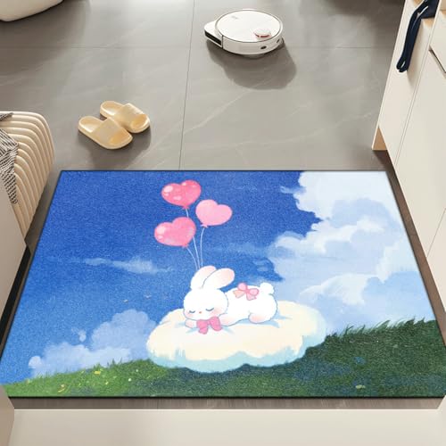 Fussmatte Innen 60x90 cm Blaue Kaninchenwolke Fussmatte Aussen rutschfeste für Hund Eingang Badematte Waschbar Schmutzfangmatte Strapazierfähige und Langlebige Fussmatten Haustür von ZZDXW