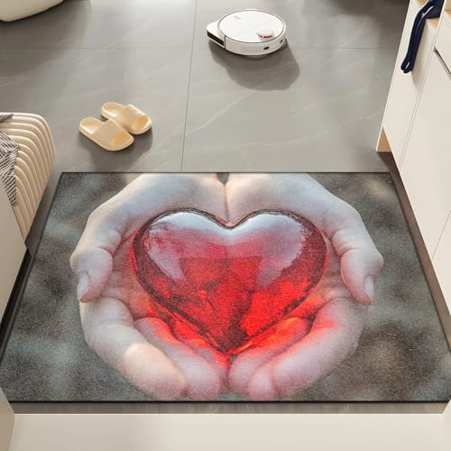 Fussmatte Innen 80x120 cm Grau Rotes Herz Fussmatte Aussen rutschfeste für Hund Eingang Badematte Waschbar Schmutzfangmatte Strapazierfähige und Langlebige Fussmatten Haustür von ZZDXW