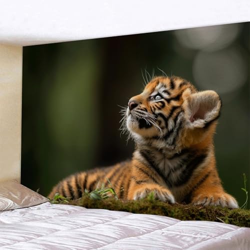 Vliestapete Niedlicher Oranger Tiger Fototapete Wohnzimmer Abziehbar und Einfach Anbringen Kinderzimmer Tapete Klebstofffreies Echtes Seidenstoff Fototapete Kinderzimmer 210x140cm Vliestapete Niedlicher Oranger Tiger Fototapete Wohnzimmer Abziehbar und Einfach Anbringen Kinderzimmer Tapete Klebstofffreies Echtes Seidenstoff Fototapete Kinderzimmer 210x140cm von ZZDXW