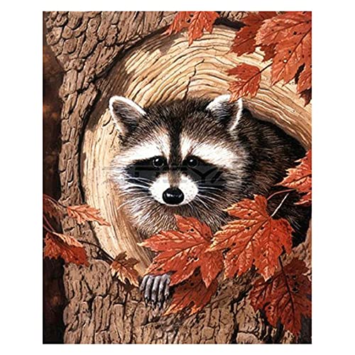 ZZDXW Diamond Painting Set Baumloch Waschbär 5D Diamant Painting Full Erwachsene Diamond Painting Diamant Painting Bilder Diamond Painting Set Full 30 x 40 cm Diamond Painting Set Kinder von ZZDXW