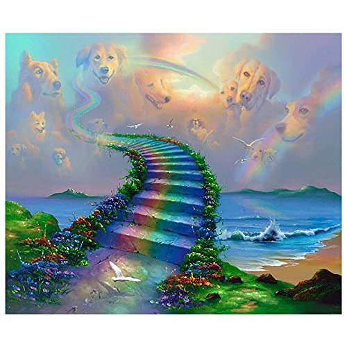 ZZDXW Diamond Painting Set Regenbogenbrücke 5D Diamant Painting Full Erwachsene Diamond Painting Diamant Painting Bilder Diamond Painting Set Full 30 x 40 cm Diamond Painting Set Kinder von ZZDXW