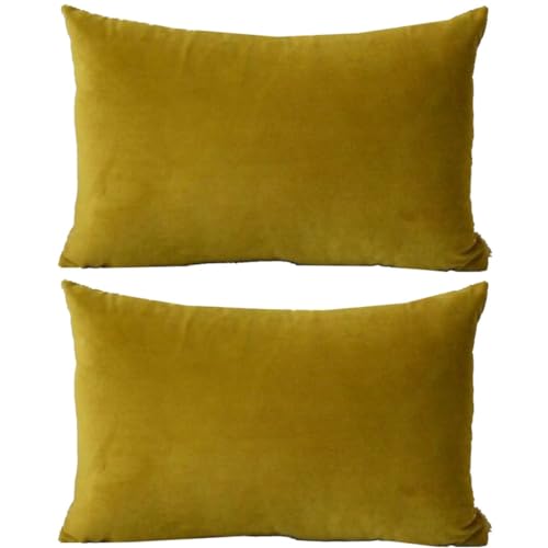 Kissenbezug 50x70 40x70 Samt Sofa Kissenbezüge 40x60, Zierkissenbezug Dekokissen Sofakissen Mit Reißverschluss 60x80 Kissenhülle 33x50 Dekorative Weiche Zierkissenbezüge Kissen Bezug ( Color : #14 , S von ZZDZW