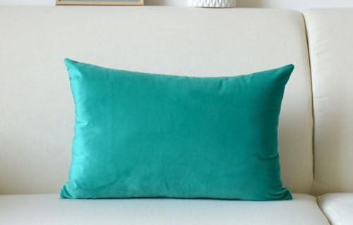 Samt Kissenbezüge 40x60 40x70 60x80 33x50 50x70 Groß Sofakissen Bezug 30x50 Kissenhülle Kissen Bett Couchkissen Kissenbezug Zierkissenbezug Mit Reißverschluss,Waschbar,Moderne ( Color : #3 , Size : 40 von ZZDZW
