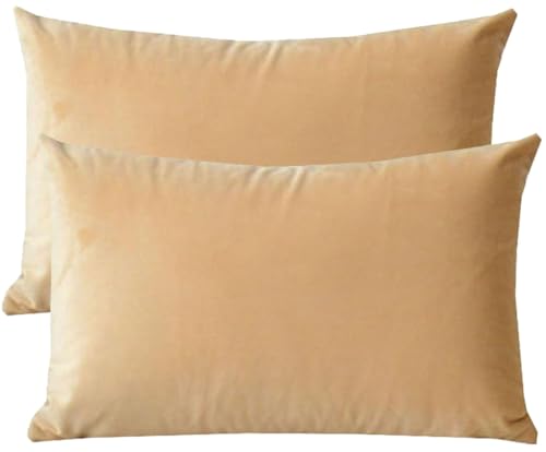 Sofa Kissenbezug 50x70 40x70 Samt Kissenbezüge 40x60, Zierkissenbezug Dekokissen Sofakissen Mit Reißverschluss 60x80 Kissenhülle 33x50 Dekorative Weiche Zierkissenbezüge Kissen Bezug ( Color : #21 , S von ZZDZW
