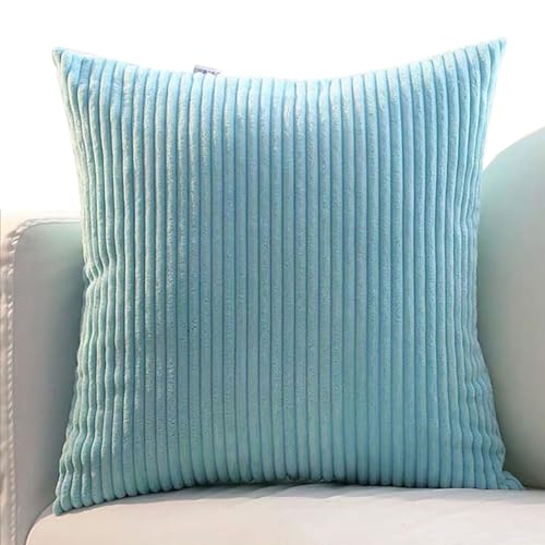 ZZDZW Kissenbezug 80x80 2er Set Sofa Kissenbezüge 65x65,Kord Zierkissenbezug Dekokissen Sofakissen Groß Kissenhülle Dekorative Weiche Zierkissenbezüge Kissen Bezug(Light Aqua Blue,50x70 cm) von ZZDZW