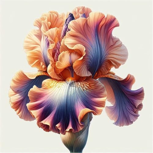 2024 Winterhart pflanzen,Lebende Pflanzen,Mehrjährige Blumenzwiebel ist winterhart,Mysteriöse magische Glühbirne-10 Schwertlilie Zwiebeln-C 2024 Winterhart pflanzen,Lebende Pflanzen,Mehrjährige Blumenzwiebel ist winterhart,Mysteriöse magische Glühbirne-10 Schwertlilie Zwiebeln-C von ZZNCHH