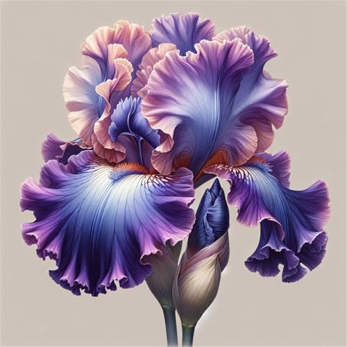 2024 Winterhart pflanzen,Lebende Pflanzen,Mehrjährige Blumenzwiebel ist winterhart,Mysteriöse magische Glühbirne-15 Schwertlilie Zwiebeln-E 2024 Winterhart pflanzen,Lebende Pflanzen,Mehrjährige Blumenzwiebel ist winterhart,Mysteriöse magische Glühbirne-15 Schwertlilie Zwiebeln-E von ZZNCHH