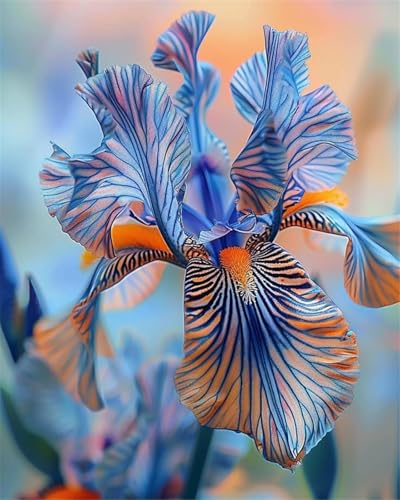 2024 Winterhart pflanzen,Lebende Pflanzen,Mehrjährige Blumenzwiebel ist winterhart,Mysteriöse magische Glühbirne-8 Schwertlilie Zwiebeln-F 2024 Winterhart pflanzen,Lebende Pflanzen,Mehrjährige Blumenzwiebel ist winterhart,Mysteriöse magische Glühbirne-8 Schwertlilie Zwiebeln-F von ZZNCHH