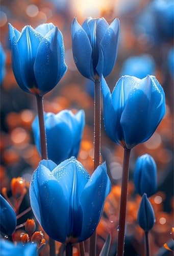 Garden,Mysteriöse magische Glühbirne,3 years,Mehrjährige Blumenzwiebel ist winterhart,Lebende Pflanzen,Gift, Blumenzwiebel Mix-5 Tulpenzwiebeln-C von ZZNCHH