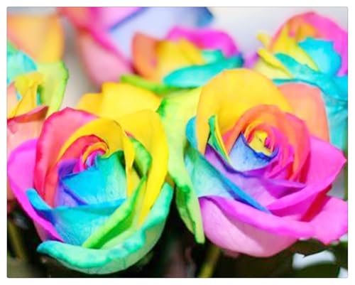 Lebende Pflanzen,2025 Winterhart pflanzen, Mehrjährige Blumenzwiebel ist winterhart,Mysteriöse magische Glühbirne-2 Rosenpflanze zwiebeln-E von ZZNCHH