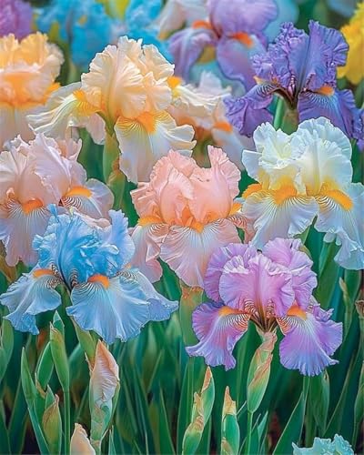 Mehrjährige Blumenzwiebel ist winterhart,Lebende Pflanzen,2024 Winterhart pflanzen,Mysteriöse magische Glühbirne-10 Schwertlilie Zwiebeln-F Mehrjährige Blumenzwiebel ist winterhart,Lebende Pflanzen,2024 Winterhart pflanzen,Mysteriöse magische Glühbirne-10 Schwertlilie Zwiebeln-F von ZZNCHH