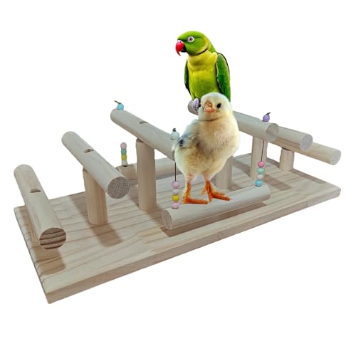 Massivholz Küken Sitzstange Vogelstange Ständer mit Schaukeln - Step-Design Sicherheitsstange für Baby Küken, Papageien, Haustiervögel - Große stabile Basis & einfache Montage Massivholz Küken Sitzstange Vogelstange Ständer mit Schaukeln - Step-Design Sicherheitsstange für Baby Küken, Papageien, Haustiervögel - Große stabile Basis & einfache Montage von ZZOFSWORM