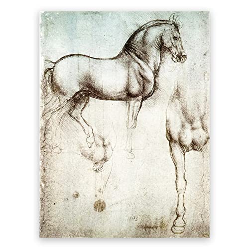 Leonardo Da Vinci Kunstdrucke Study of Horses Poster Pferd Leinwand Wandkunst Tier Anatomie Zeichnung Skizze Diagramm Renaissance Vintage Poster für Wohnzimmer Schlafzimmer Büro Dekor ungerahmt von ZZPT