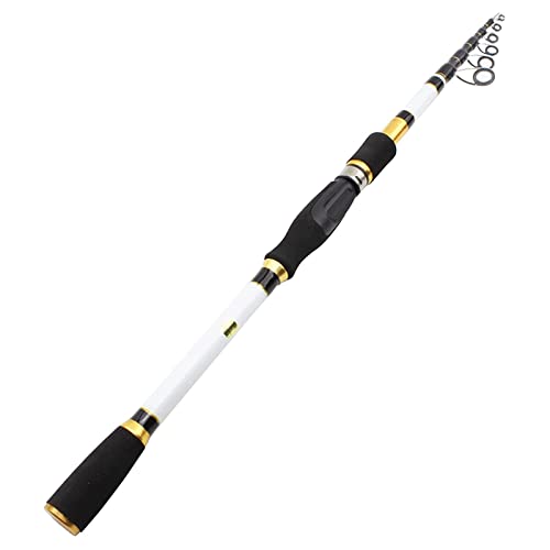 ZZTWER Angelrute mit geradem Schaft, tragbare Teleskop-Angelrute, Zubehör für Karbon-Angelruten, Meeresrute von ZZTWER