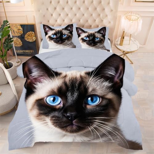ZZXHG Atmungsaktiv 3D Druck Bettdecke Weich - Graue Calico-Katze, Bettwaren Set mit 2 Kissenhüllen 80x80 cm für Gästebetten und Jugendzimmer 135x200 cm von ZZXHG