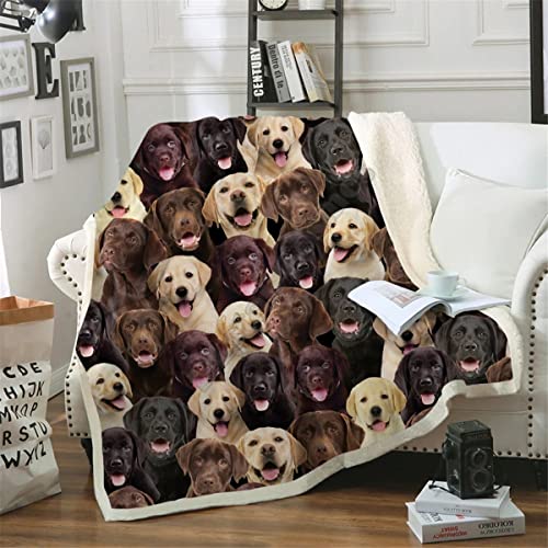 ZZXHG Kuscheldecke 200 x 220 Brauner Labrador, Flauschige Plüsch Decke Tagesdecke Für Kinder Erwachsene, Pflegeleicht Flanell Fleecedecke TV-Decken Sofadecke Wohndecke Mikrofaser Couchdecke von ZZXHG