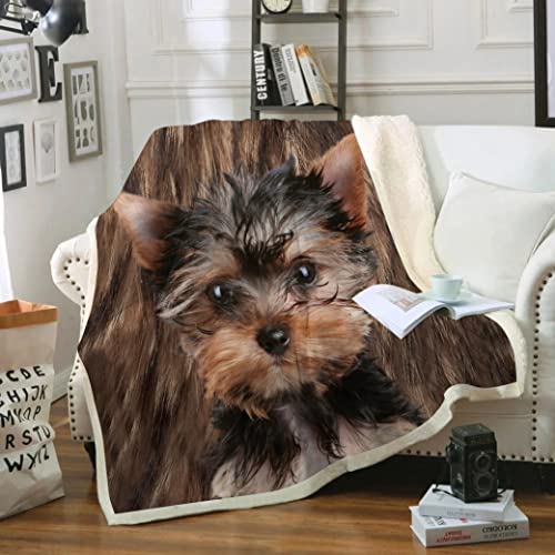 ZZXHG Kuscheldecke 200 x 220 Brauner Yorkshire-Terrier, Flauschige Plüsch Decke Tagesdecke Für Kinder Erwachsene, Pflegeleicht Flanell Fleecedecke TV-Decken Sofadecke Wohndecke Mikrofaser Couchdecke von ZZXHG