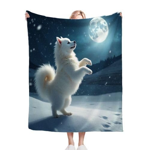 ZZXHG Kuscheldecke 200 x 220 WeißEr Hund, Flauschige Plüsch Decke Tagesdecke für Kind Erwachsene, Pflegeleicht Flanell Fleecedecke TV-Decken Sofadecke Wohndecke Mikrofaser Couchdecke f439 von ZZXHG