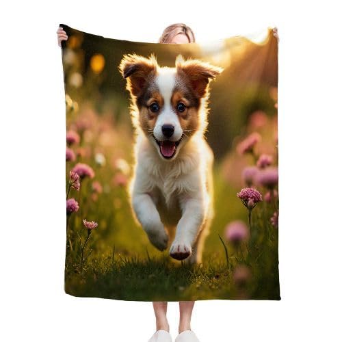 ZZXHG Kuscheldecke 220x240 cm Flauschig Blumenfeld & Hund, Weiche Plüsch Decke für Kind Erwachsene, Warm Flanell Fleecedecke Wendedecke Wolldecke Sofadecke Wohndecke Couchdecke f364 von ZZXHG