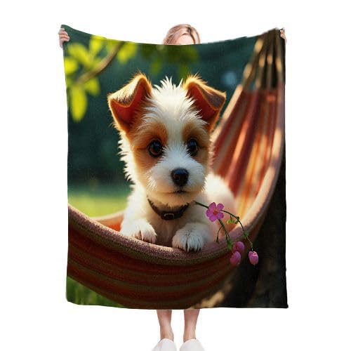 ZZXHG Kuscheldecke 220x240 cm Flauschig HäNgematte & Hund, Weiche Plüsch Decke für Kind Erwachsene, Warm Flanell Fleecedecke Wendedecke Wolldecke Sofadecke Wohndecke Couchdecke ZZXHG Kuscheldecke 220x240 cm Flauschig HäNgematte & Hund, Weiche Plüsch Decke für Kind Erwachsene, Warm Flanell Fleecedecke Wendedecke Wolldecke Sofadecke Wohndecke Couchdecke von ZZXHG