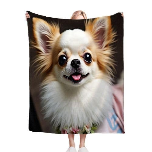 ZZXHG Kuscheldecke 220x240 cm Flauschig WeißEr Chihuahua, Weiche Plüsch Decke für Kind Erwachsene, Warm Flanell Fleecedecke Wendedecke Wolldecke Sofadecke Wohndecke Couchdecke von ZZXHG