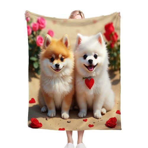 ZZXHG Kuscheldecke Bunter Pomeranian, Weiche Flauschige Decke Kind Mädchen Jungen, Warm Wendedecke Flanell Fleecedecke TV-Decken Sofadecke Wohndecke Couchdecke Tagesdecke - 130x150 cm von ZZXHG