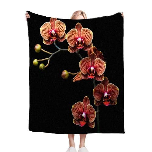 ZZXHG Kuscheldecke Flauschig 180 x 200 cm Braunrote Orchidee, Plüsch Decke Tagesdecke für Kind Erwachsene, Weiche Flanell Fleecedecke Sofadecke Zweiseitige Outdoordecke für Sofa Bett von ZZXHG