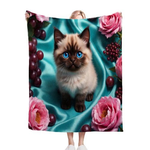 ZZXHG Kuscheldecke Flauschig 180 x 200 cm Graue Katze, Plüsch Decke Tagesdecke für Kind Erwachsene, Weiche Flanell Fleecedecke Sofadecke Zweiseitige Outdoordecke für Sofa Bett ZZXHG Kuscheldecke Flauschig 180 x 200 cm Graue Katze, Plüsch Decke Tagesdecke für Kind Erwachsene, Weiche Flanell Fleecedecke Sofadecke Zweiseitige Outdoordecke für Sofa Bett von ZZXHG